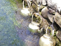 20030708samegai s024.jpg